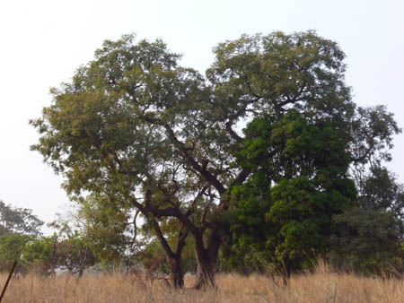 P1060560