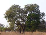 P1060560