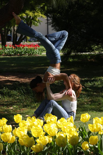 Tulipes1