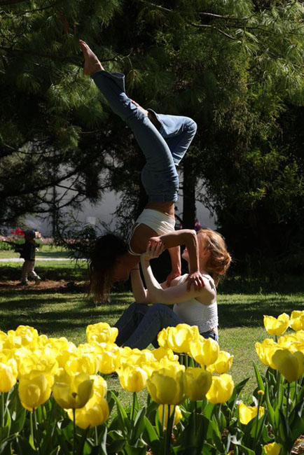 Tulipes2