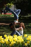 Tulipes1